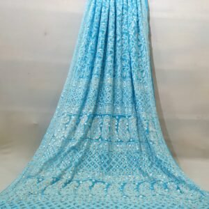 blue with a hint of teal Lucknowi Chikankari Saree with Georgette Blouse