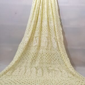 Soft muted beige with a hint of olive Lucknowi Chikankari Saree with Georgette Blouse